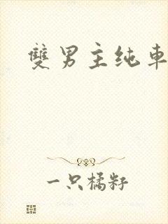 双男主纯车骨科