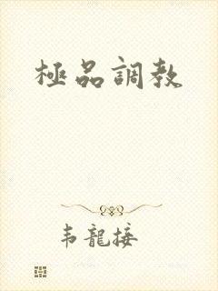 极品调教