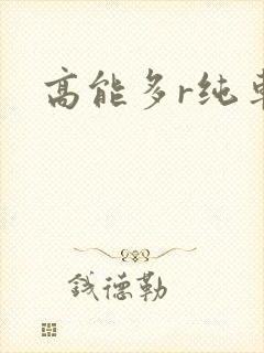 高能多r纯车