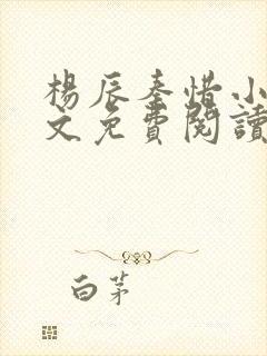 杨辰秦惜小说全文免费阅读最新