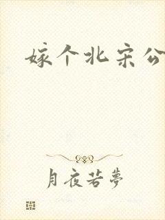 嫁个北宋公务员