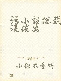 污小说总裁整夜没拔出