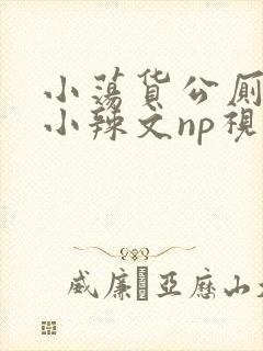 小荡货公厕h文小辣文np视频