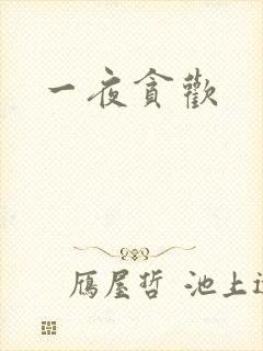 一夜贪欢