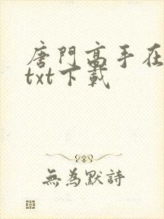 唐门高手在异世txt下载