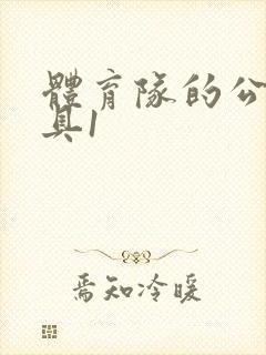 体育队的公用玩具1