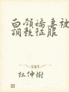 白领娇妻被老板调教征服