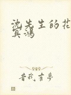 沈先生的花式调冥鸿