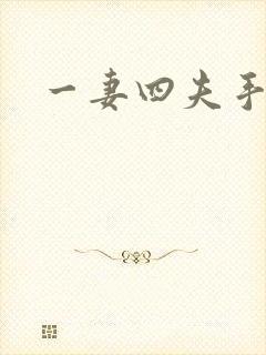 一妻四夫手记