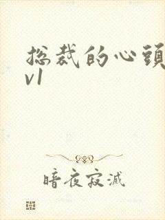 总裁的心头宝1v1