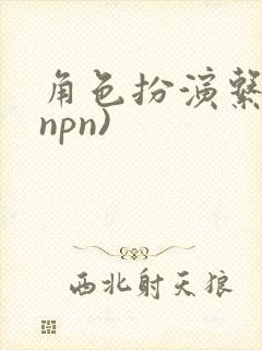 角色扮演系统(npn)