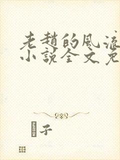 老赵的风流人生小说全文免费阅读