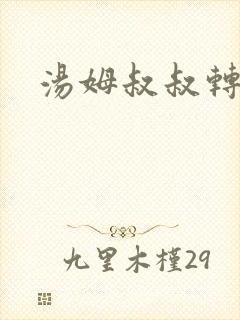 汤姆叔叔转接口