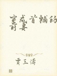 穿成首辅的炮灰前妻