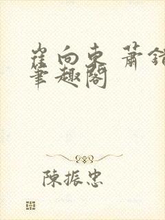 崔向东 萧错 笔趣阁