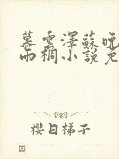 慕云泽苏晚晴夏雨桐小说免费阅读