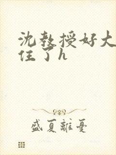 沈教授好大含不住了h