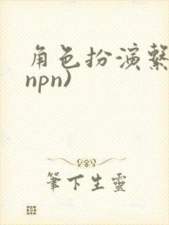 角色扮演系统(npn)