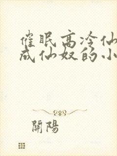 催眠高冷仙奴变成仙奴的小说