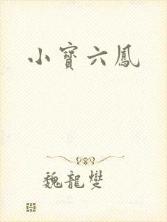 小宝六凤