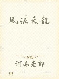 风流天龙