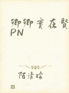 卿卿实在贤良NPN