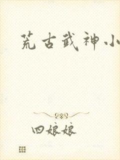 荒古武神小说