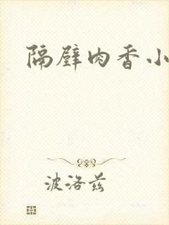 隔壁肉香小说