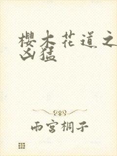 樱木花道之重生凶猛