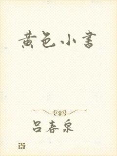黄色小书