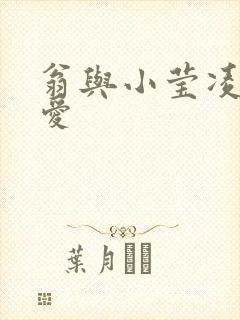 翁与小莹凌晨欢爱