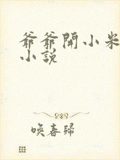 爷爷开小米的包小说