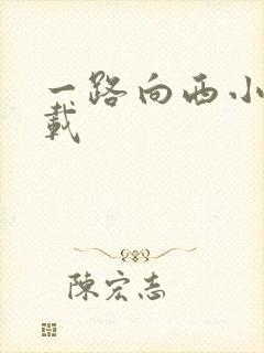 一路向西小说下载