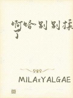 啊哈别别揉那处了