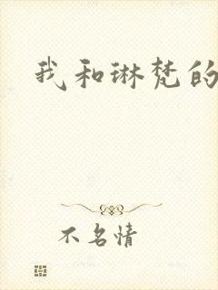 我和琳梵的故事