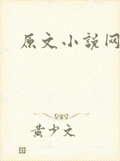 原文小说网