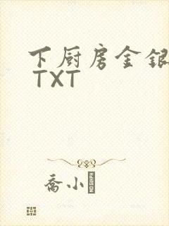 下厨房金银花露 TXT