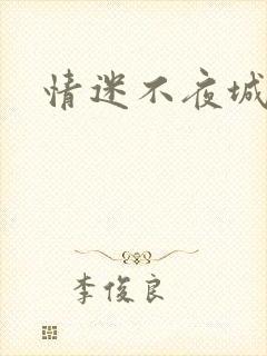 情迷不夜城