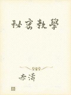 秘密教学