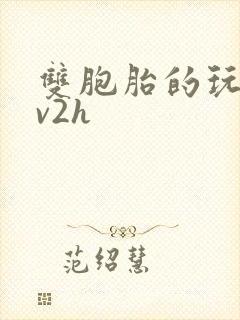 双胞胎的玩具1v2h