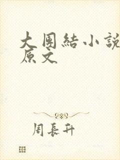 大团结小说阅读原文