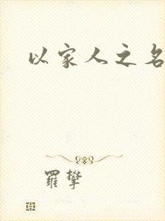 以家人之名小说