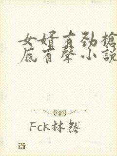 女婿有劲枪枪到底有声小说