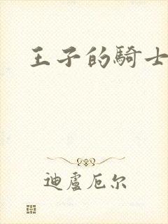 王子的骑士小说