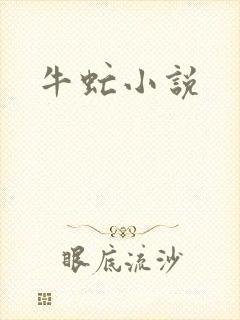 牛虻小说