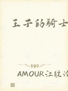 王子的骑士小说