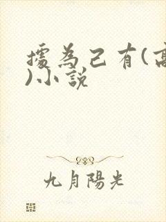 据为己有(高干)小说