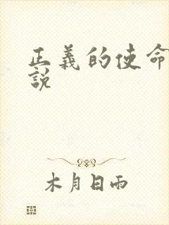 正义的使命 小说