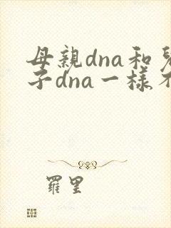 母亲dna和儿子dna一样不