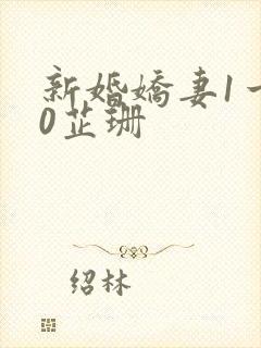 新婚娇妻1一40芷珊